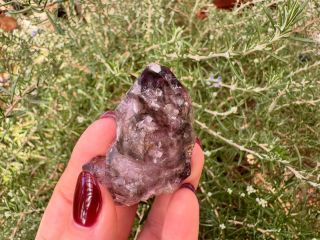 NOVINKA! Postupně přidáváme holubníky z ametystu. Naleziště Chibuku, Zimbabwe 🇿🇼. Tato oblast je známa menší, ale vysoce...